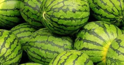 内蒙古网红吃瓜视频大全,趣味横生,笑料百出 第2张 内蒙古网红吃瓜视频大全,趣味横生,笑料百出 第2张